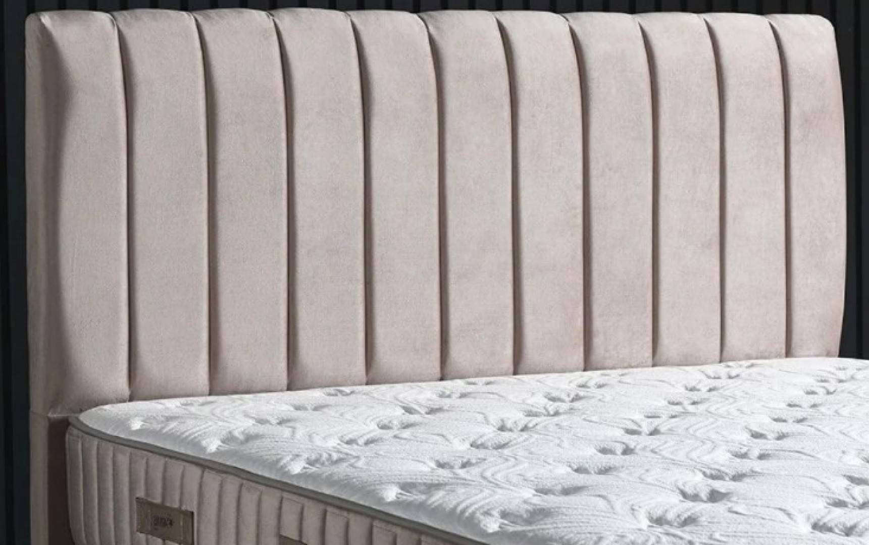 Armis Başlık 100 Aliza Krem Z1017